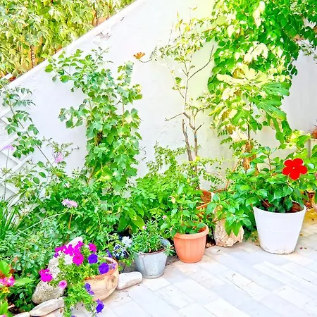 萨诺多斯酒店 酒店 *