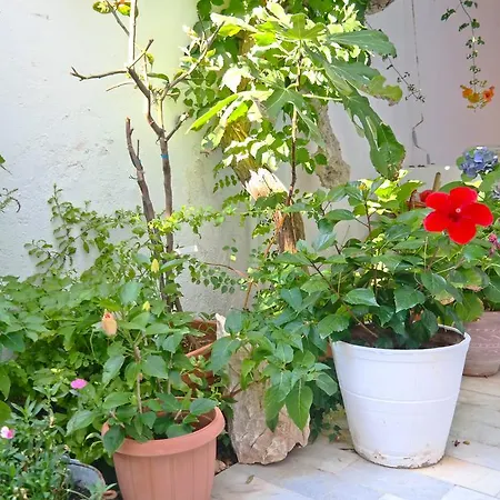 酒店 萨诺多斯酒店